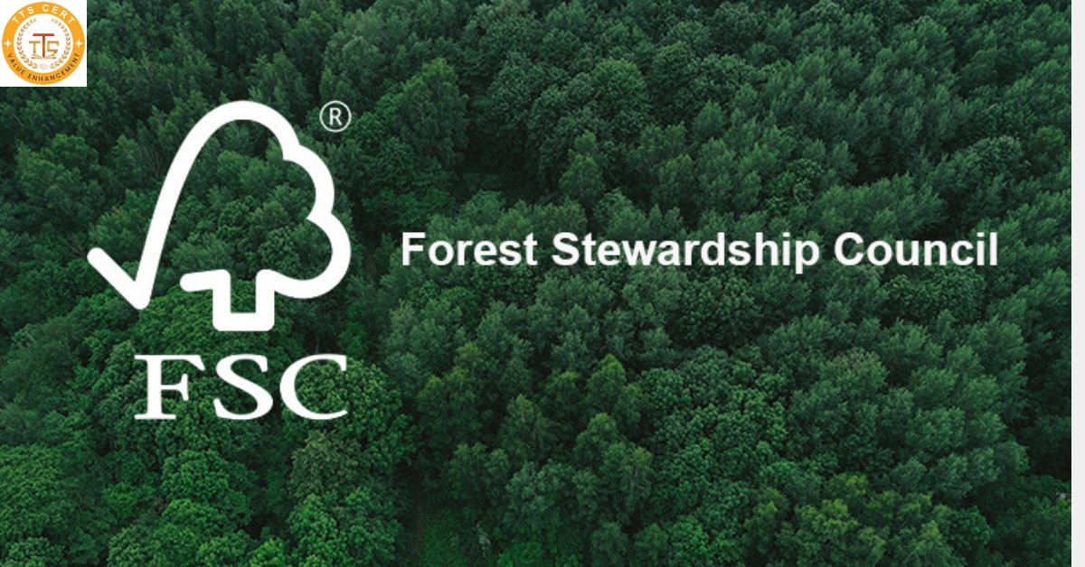 CÁC BƯỚC CHỨNG NHẬN FSC