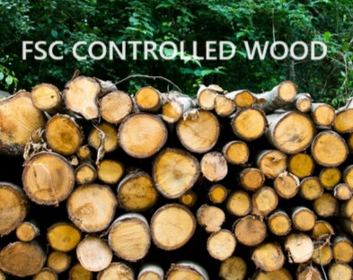 Tiêu Chuẩn FSC CoC: Hành Trang Cho Doanh Nghiệp Gỗ Việt Nam Vươn Ra Thế Giới