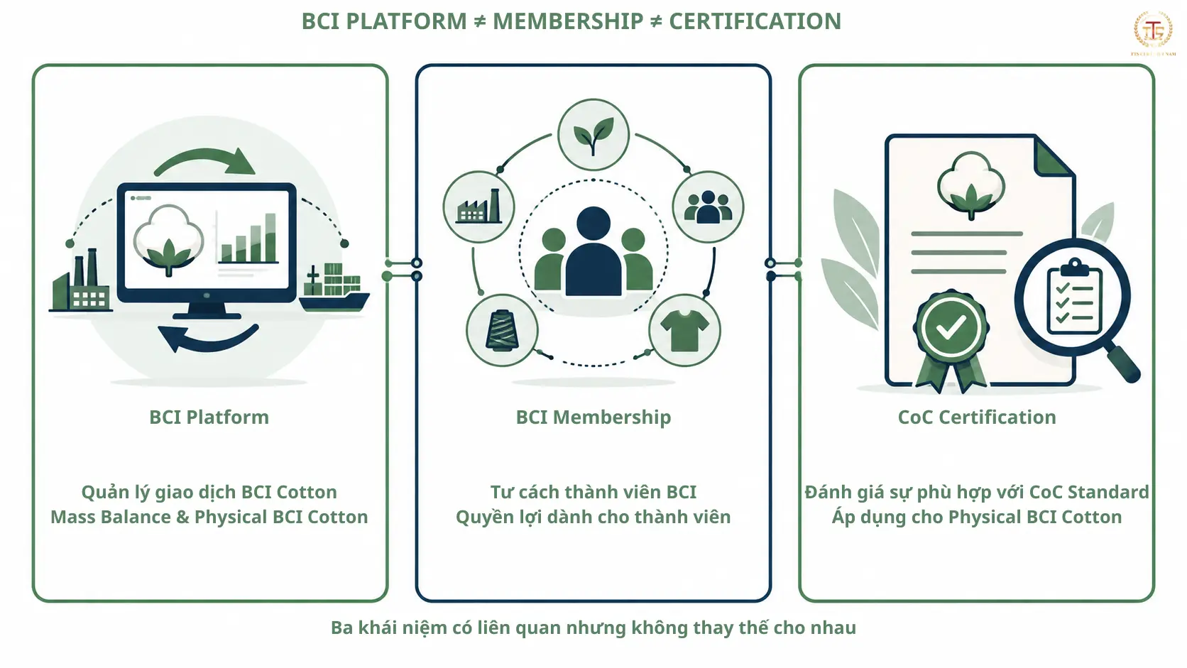 So sánh BCI Platform BCI Membership và chứng nhận BCI Chain of Custody