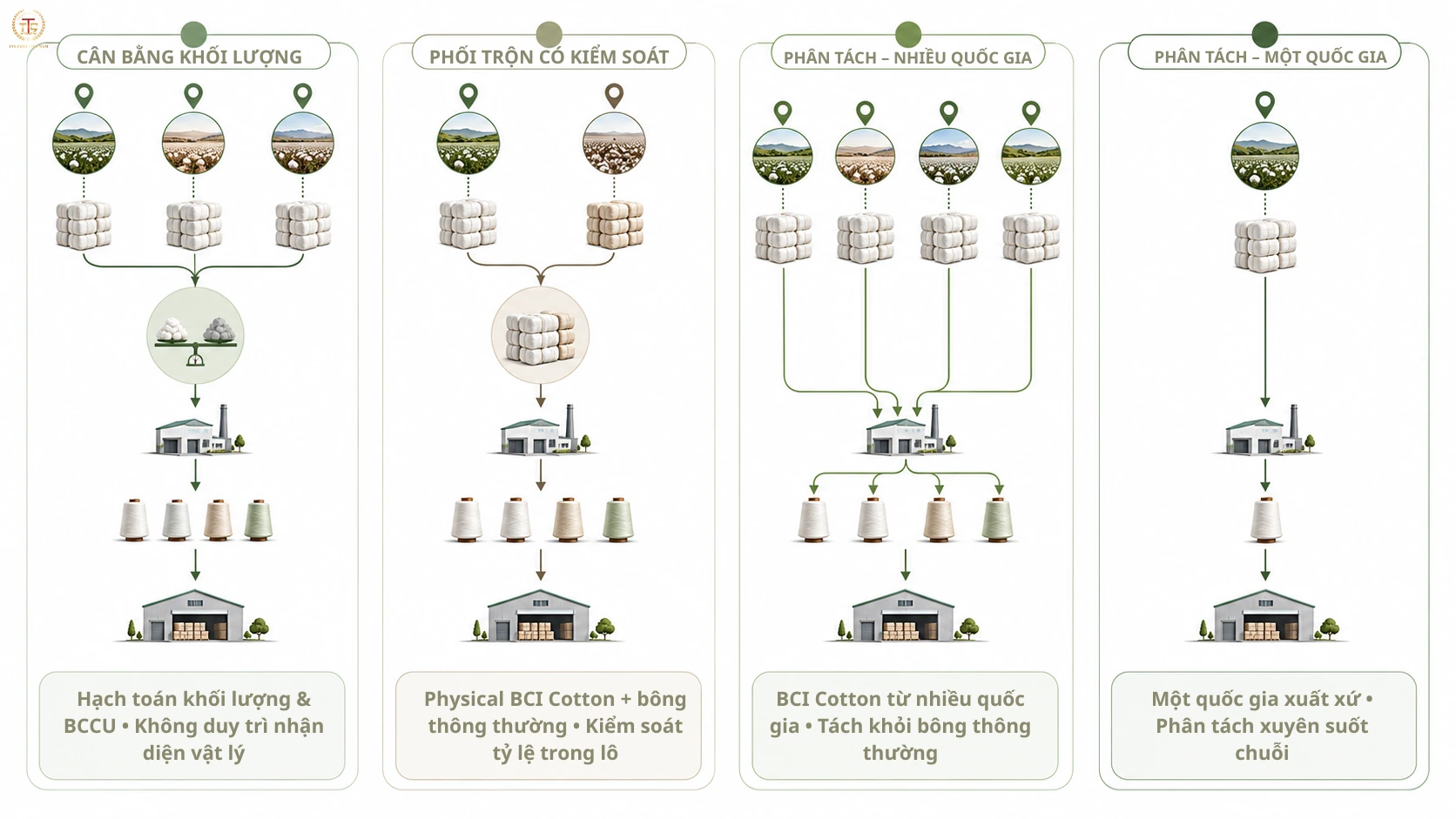 Bốn mô hình BCI Chain of Custody theo CoC Standard v1.2