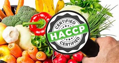 Chứng Nhận HACCP - Công Nhận Toàn Cầu