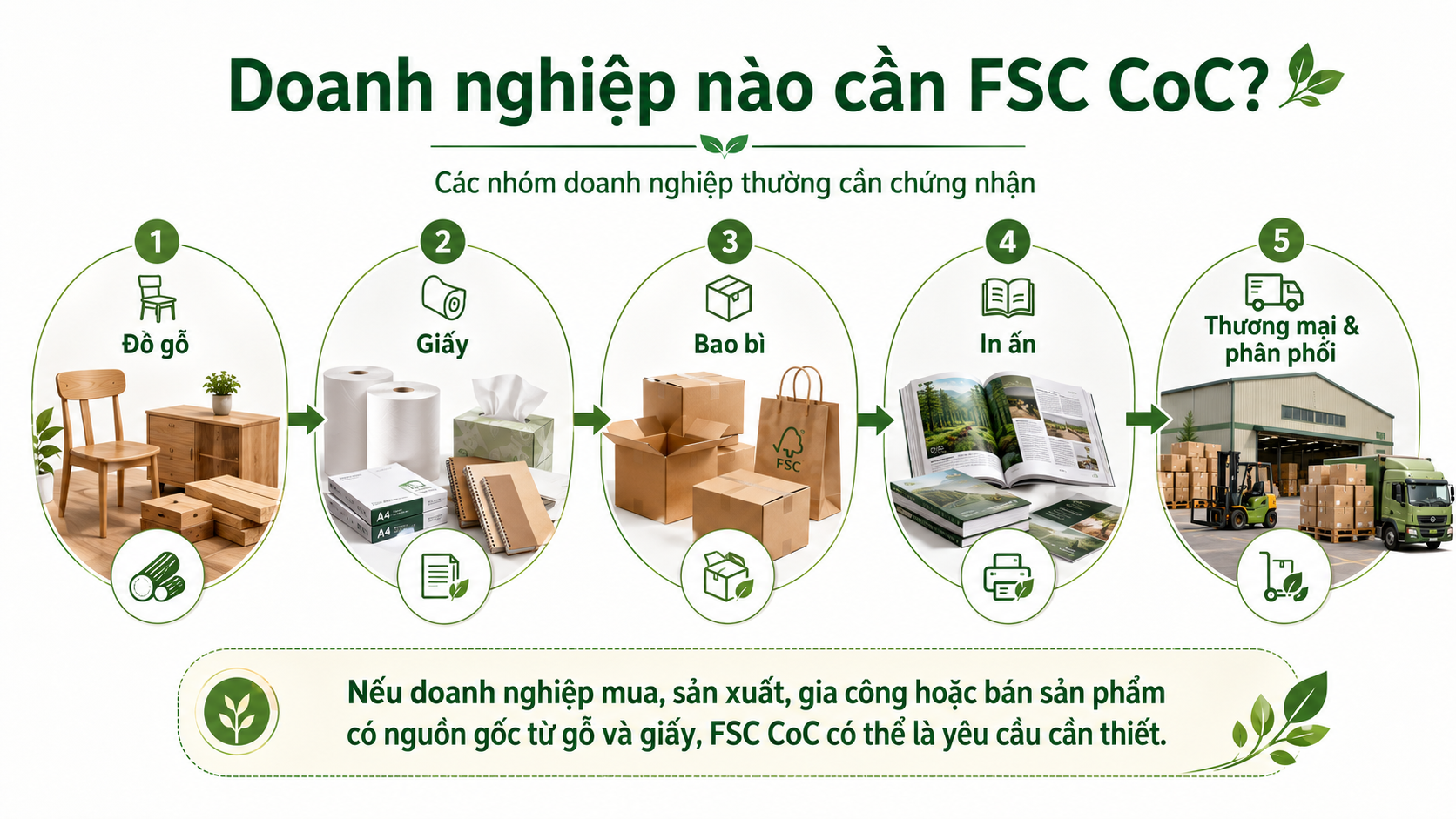 Các doanh nghiệp cần chứng nhận FSC CoC gồm sản xuất gỗ, giấy, bao bì, in ấn và thương mại phân phối
