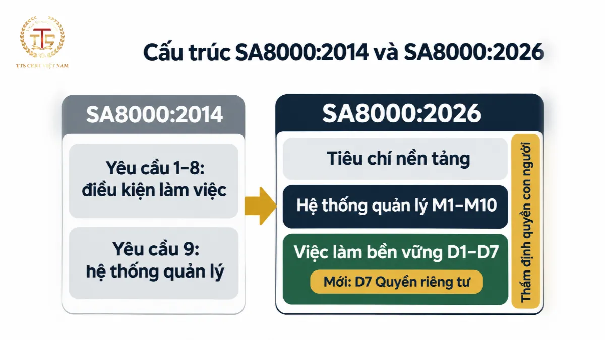 So sánh cấu trúc SA8000:2014 và SA8000:2026 với hệ thống quản lý M1–M10 đặt trước và 7 tiêu chí việc làm bền vững D1–D7