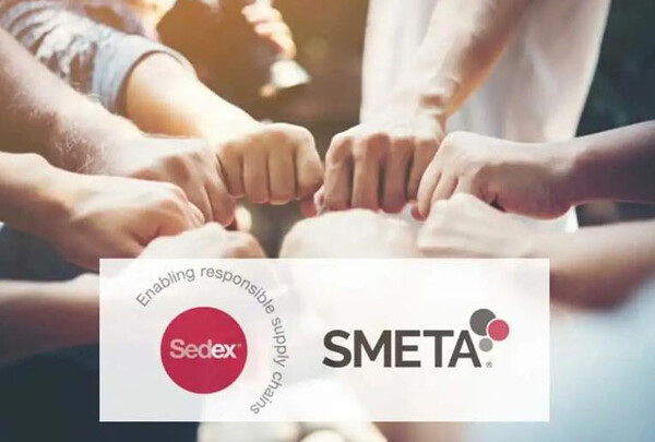 SEDEX AUDIT LÀ GÌ?