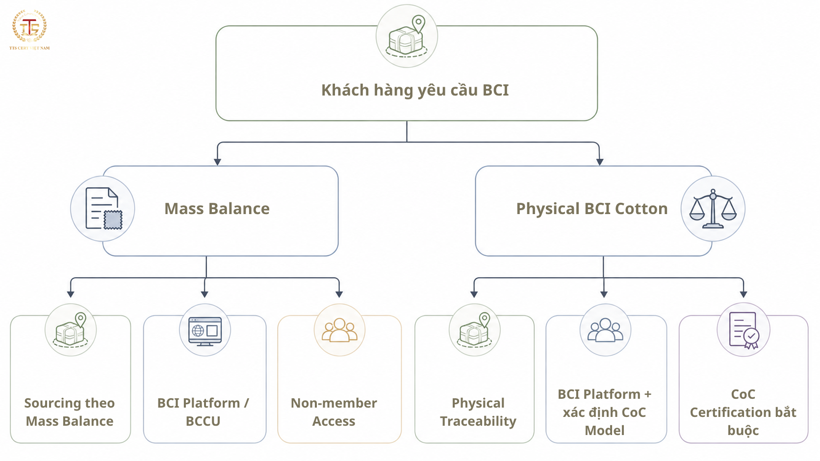 Sơ đồ xác định doanh nghiệp cần BCI Platform Membership hay CoC Certification