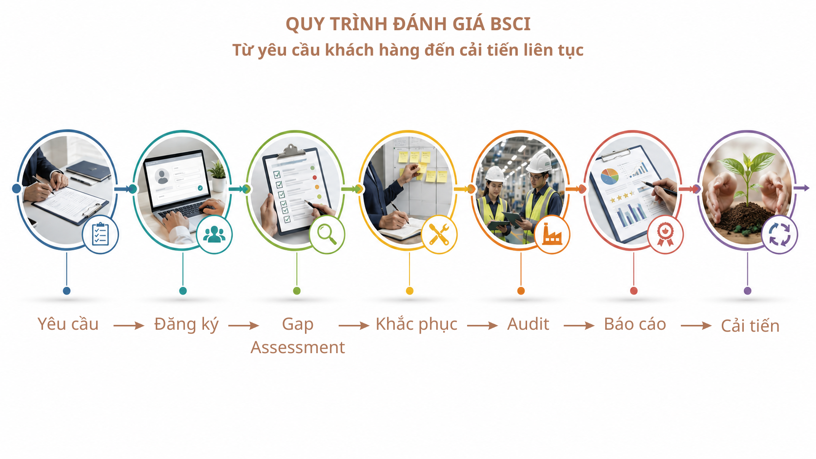 Quy trình đánh giá BSCI từ gap assessment đến audit và corrective action