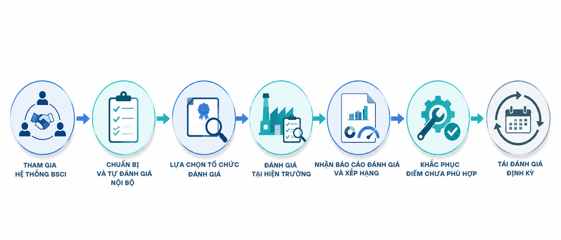 Sơ đồ quy trình đánh giá BSCI qua các giai đoạn chính