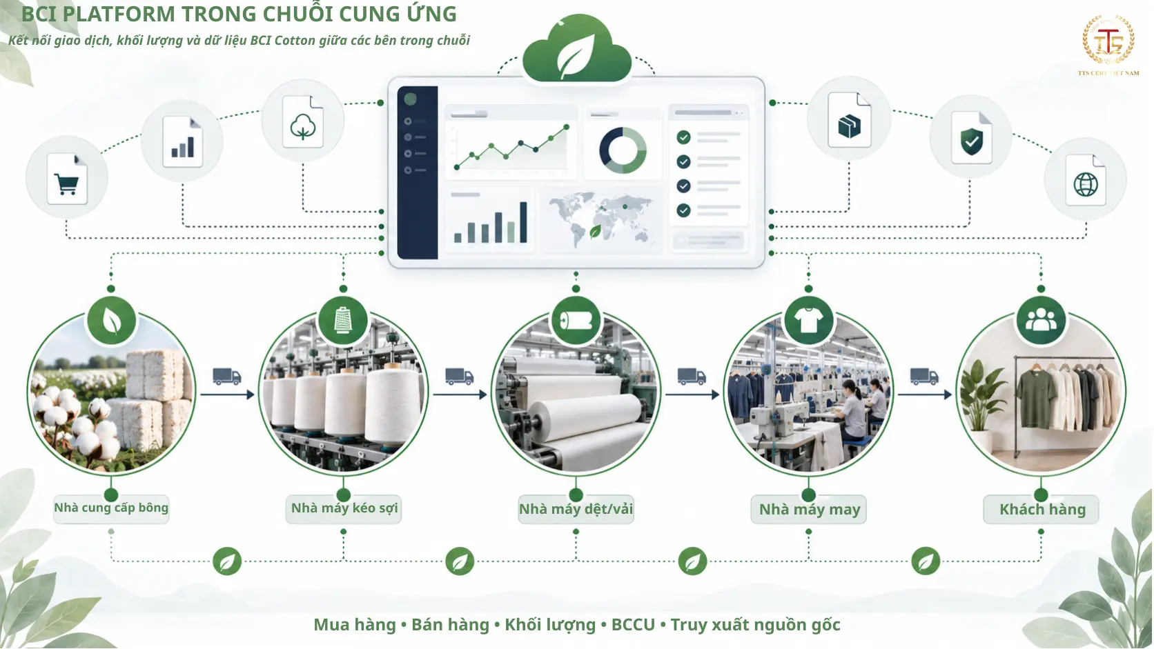 Vai trò của BCI Platform trong quản lý giao dịch BCI Cotton trong chuỗi cung ứng