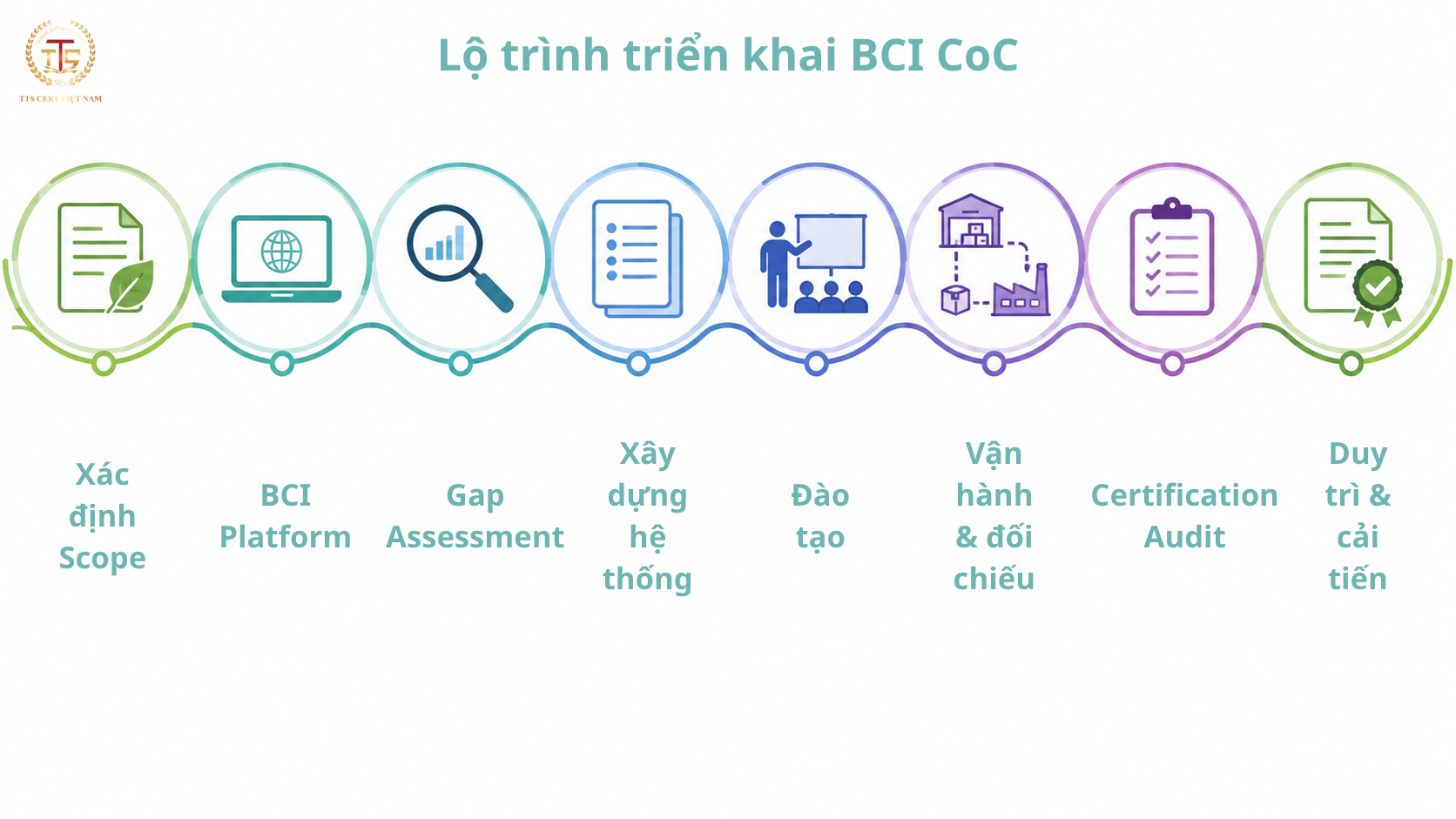 Lộ trình triển khai và chuẩn bị chứng nhận BCI Chain of Custody