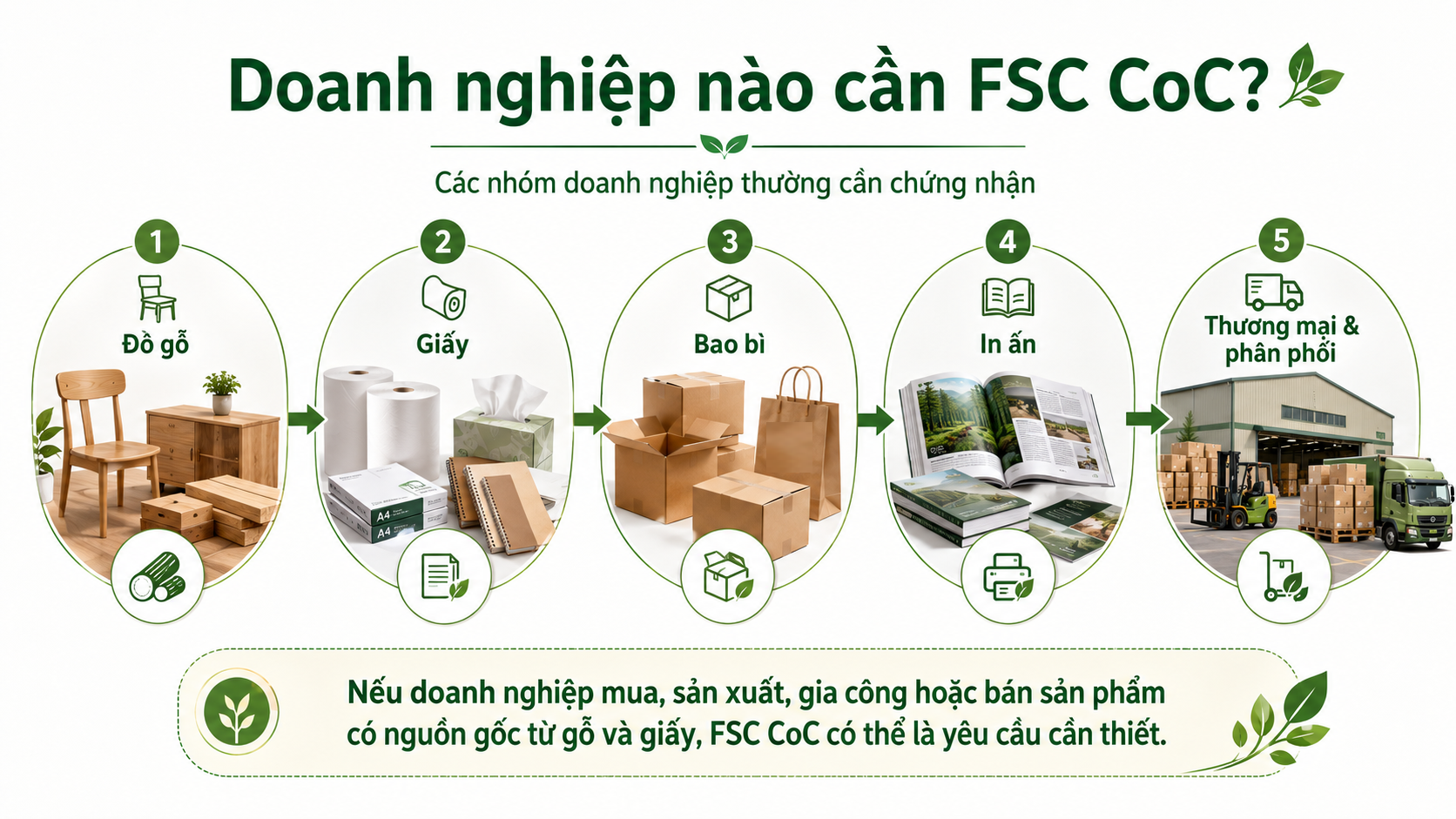 Các doanh nghiệp cần chứng nhận FSC CoC gồm sản xuất gỗ, giấy, bao bì, in ấn và thương mại phân phối