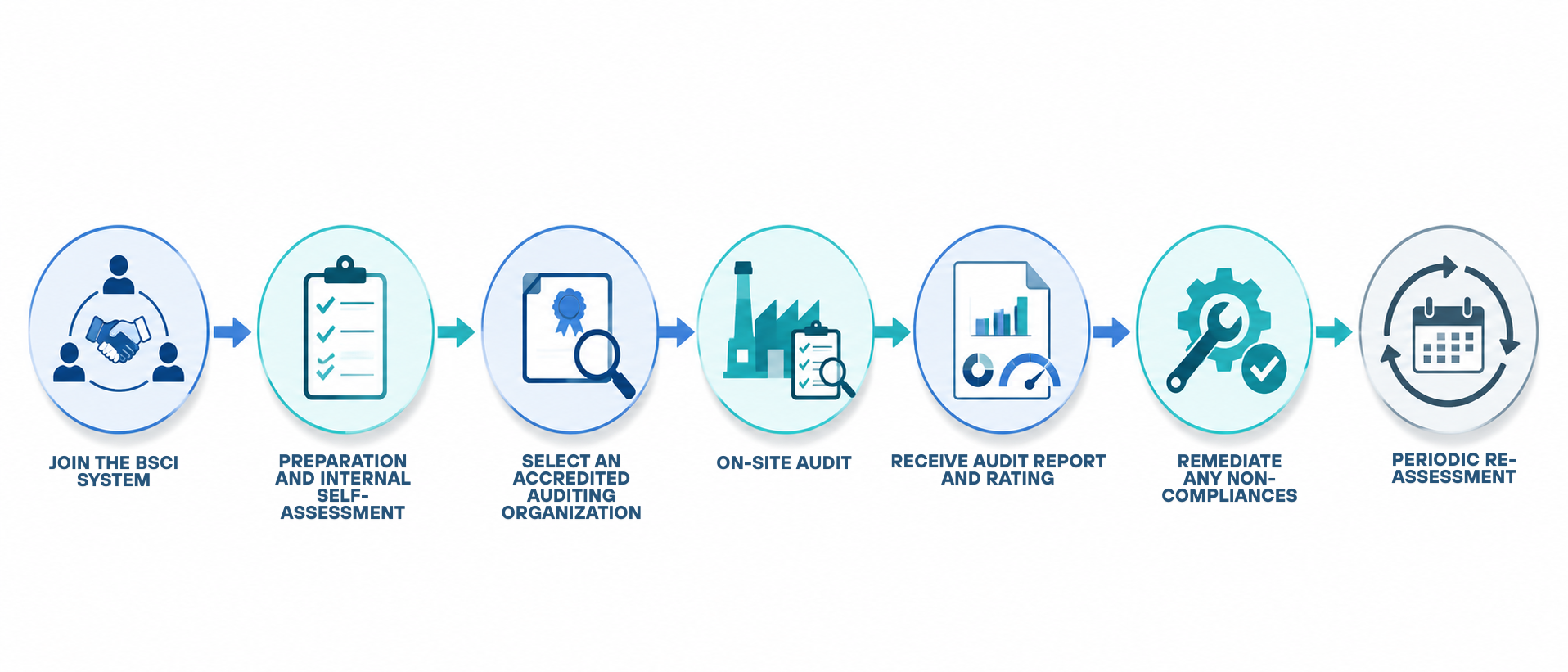 bsci-audit-process-steps