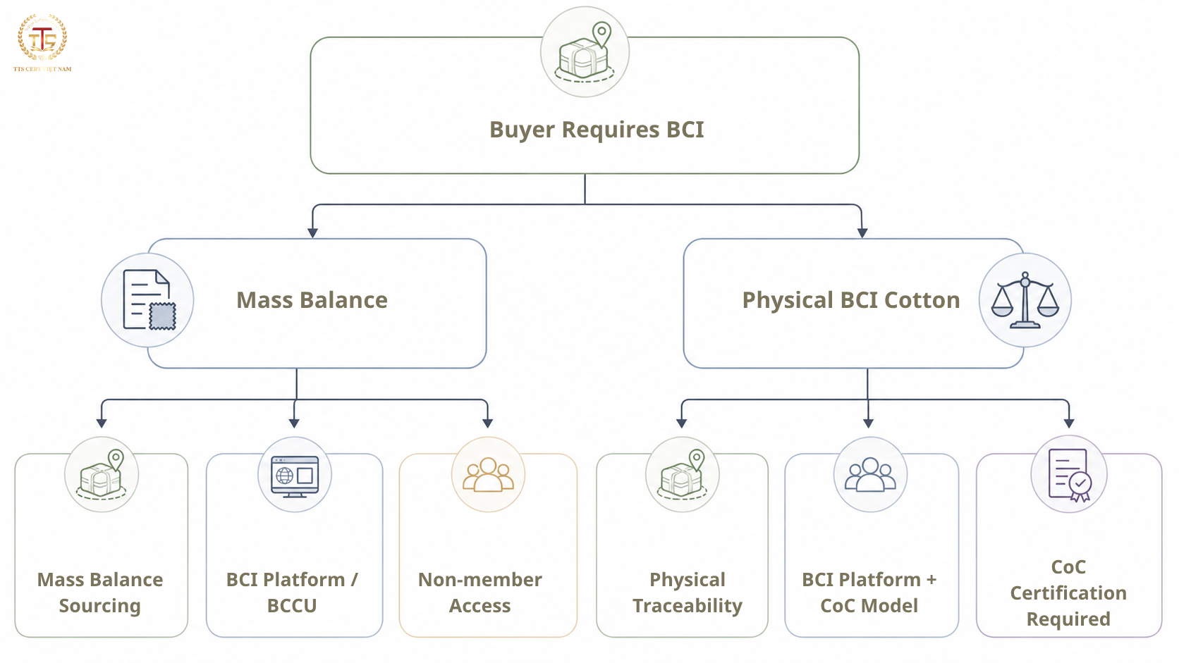Decision tree for BCI Platform membership and CoC certification requirements
