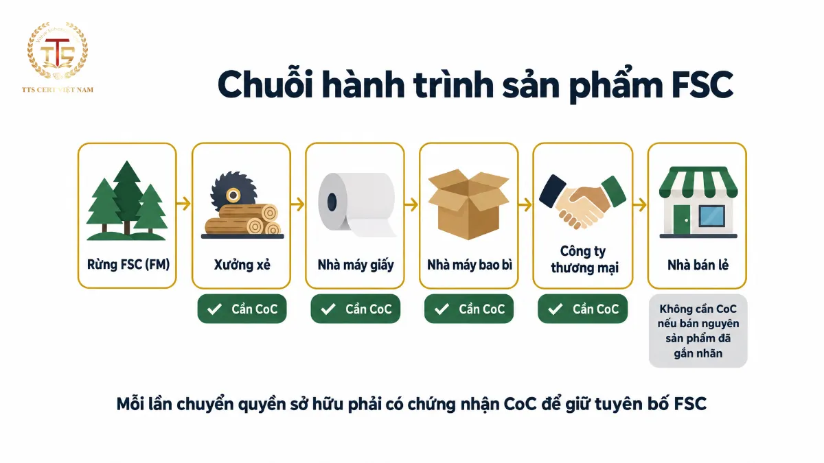 Sơ đồ chuỗi hành trình FSC: mỗi doanh nghiệp sở hữu hàng hóa từ rừng đến nhà bán lẻ đều cần chứng nhận để giữ tuyên bố FSC