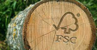 Lợi Ích Khi Áp Dụng Tiêu Chuẩn FSC CoC: Chìa Khóa Thành Công Cho Doanh Nghiệp Gỗ Việt Nam